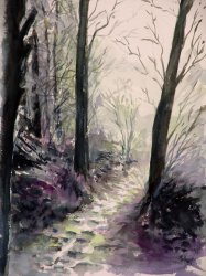 2009-12 waldweg im winter